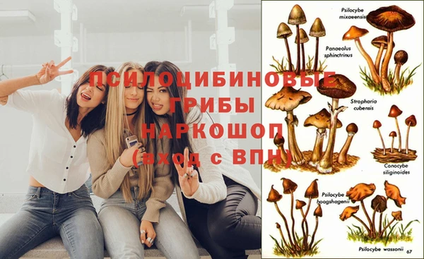 ECSTASY Абинск