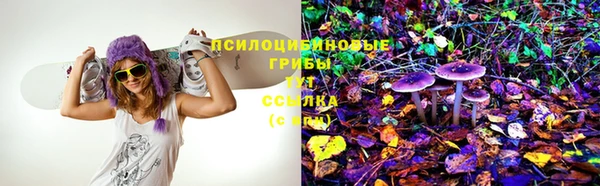 ECSTASY Абинск