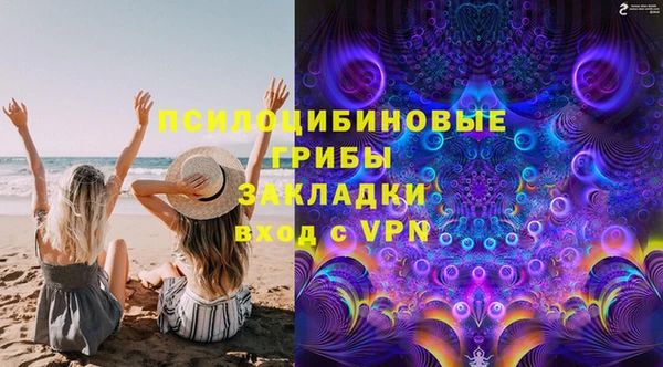 гидра Пролетарск