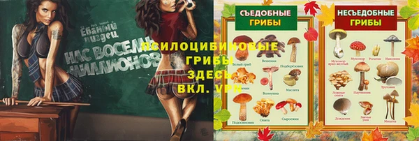 ECSTASY Абинск