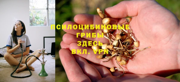 ECSTASY Абинск